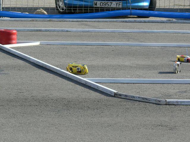 P1000544.jpg