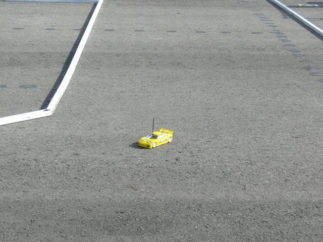 P1000564.jpg
